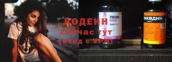 метадон Инта