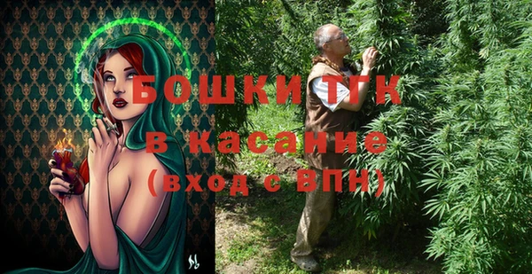 метадон Инта