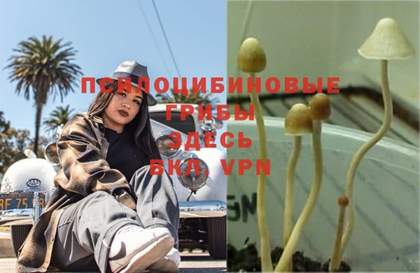 кокс Иннополис