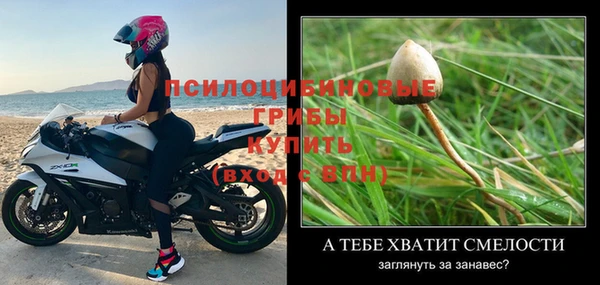 кокс Иннополис