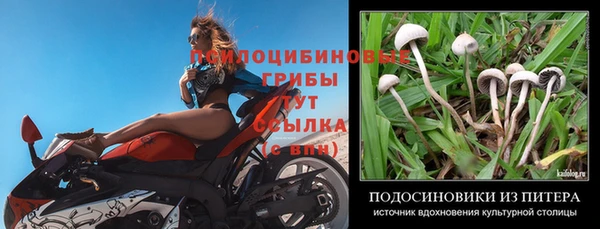 метадон Инта
